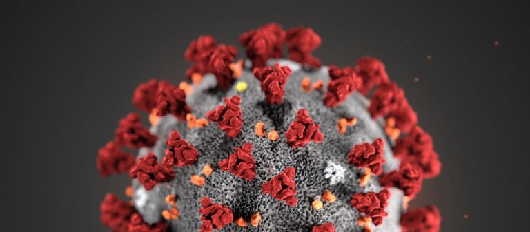 Κινέζοι επιστήμονες προειδοποιούν: Το αρχικό στέλεχος του κορωνοϊού έχει μεταλλαχθεί – Μεταδίδονται και τα δύο