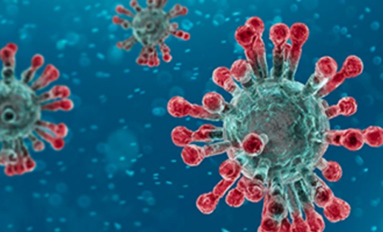 Θάνατοι από Κορονοιο αλήθεια ή ψέματα;