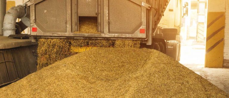 Στοπ στις εξαγωγές σιτηρών έβαλε η Ρωσία