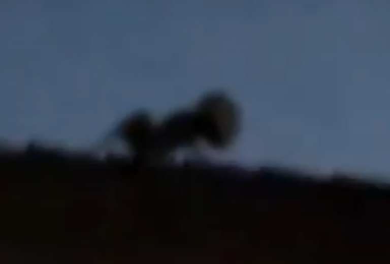 Ούτε άνθρωπος, ούτε ζώο: Μυστήριο πλάσμα πάνω στην σκεπή του