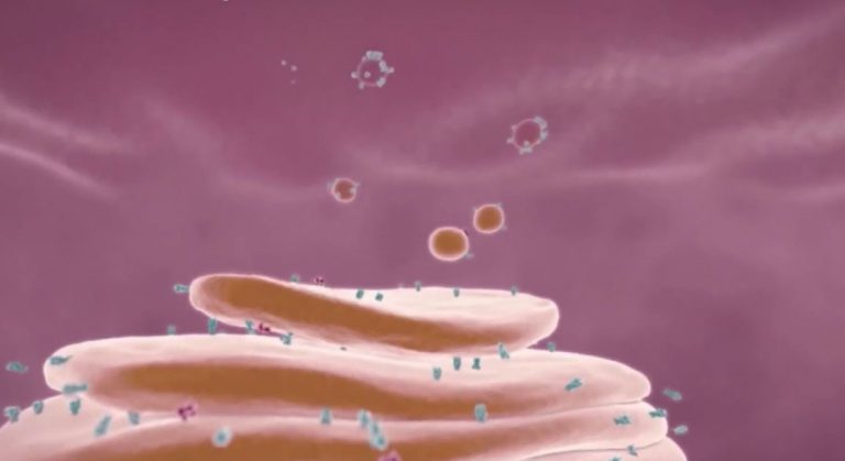 Ιος η παρασιτο;