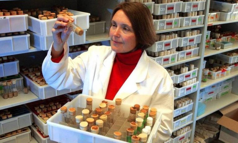 Νέα στοιχεία για τη δολοφονία της βιολόγου