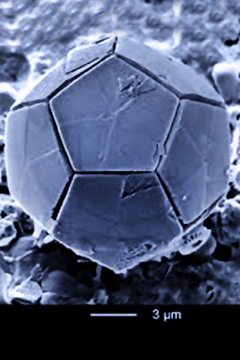 Βιογεωμετρία ~ H φυσική της πληροφορίας φέρνει τη λύση για την ηλεκτρομαγνητική