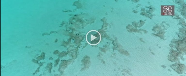 Το επτασφράγιστο εξωτικό μυστικό της Αργολίδας. Το σημείο χωρίς όνομα που ελάχιστοι γνωρίζουν