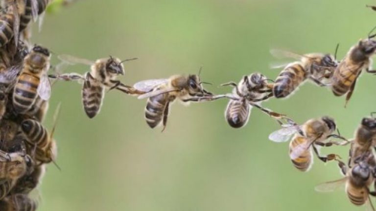 Μια καλοδουλεμένη κοινωνία….