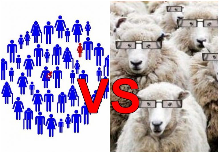 Η Αγέλη…τα ζώα…και η «Δίκη των Λοιμωξιολόγων»