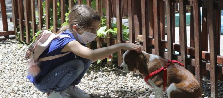 Γαλλία: Ανησυχούν οι γιατροί – 152 πιθανά κρούσματα της νόσου Καβασάκι σε παιδιά