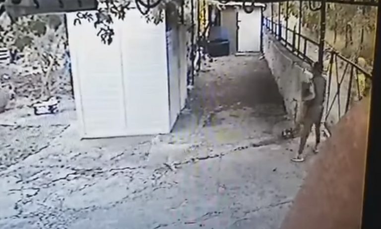 Μετανάστες στη Μόρια μπουκάρουν σε αυλές και κλέβουν κατοικίδια όχι πάντως για να τα φροντίζουν