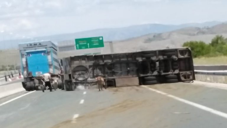 Ανατροπή φορτηγού που μετέφερε αγελάδες στην Εγνατία Οδό – Τραυματισμένα ζώα στον δρόμο