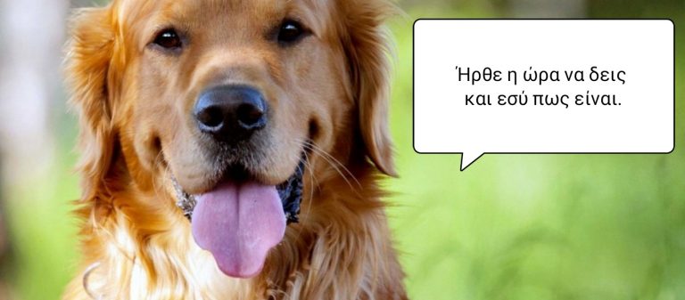 Και ξαφνικά τα πάνω κάτω…