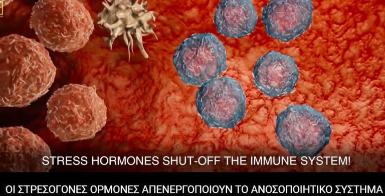 Πως να μην αρρωστήσεις ποτέ