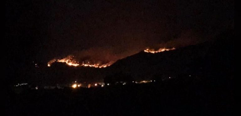 Απλά βλέπω πανέμορφα δάση να χάνονται και σπαράζει η καρδιά μου…