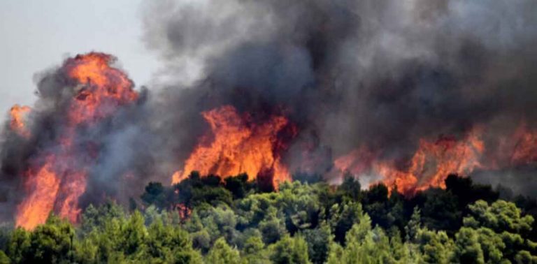 Απίστευτες αναφορές από αλλοδαπούς- «….όλη η Ελλάδα θα καεί»