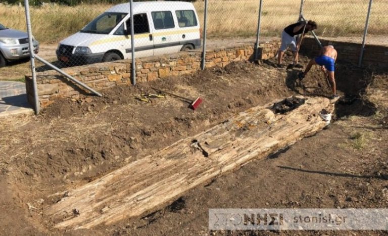 Ανακαλύφθηκε γιγαντιαίος απολιθωμένος κορμός οκτώ μέτρων στη Λήμνο