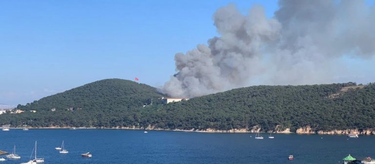 «Περίεργη» η πυρκαγιά κοντά στην Θεολογική Σχολή της Χάλκης: Συνέλαβαν τρεις εμπρηστές