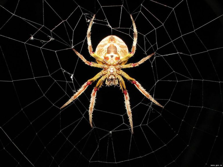 Η μοιρασιά του Αιγαίου από τον "συγχωρεμένο", ο υιός συνεχίζει το έργον και η "Κύπρος κείται μακράν"