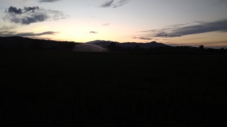 Wake Me Up When September Ends