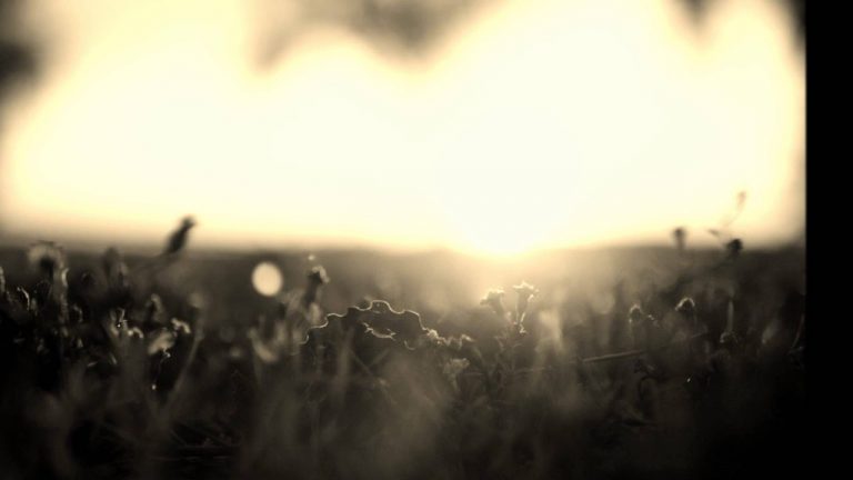 Η ΓΥΜΝΗ ΑΛΗΘΕΙΑ