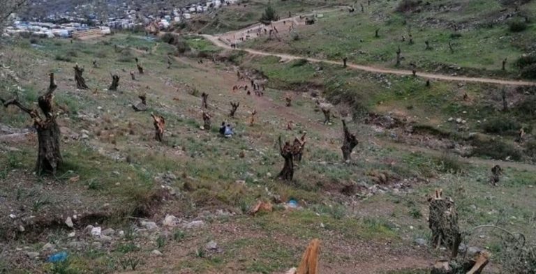 “Επενδυτές” της Μόριας ισοπέδωσαν… πιάστηκαν για δεύτερη φορά!