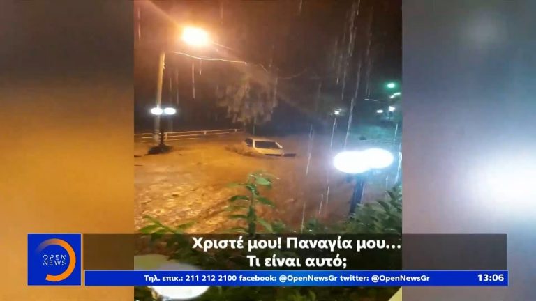 ΧαρδαΧάλιά, δώσε και άλλη Πολιτική Προστασία στον λαό! Μην ξεχάσεις τις μάσκες απατεώνα!!!