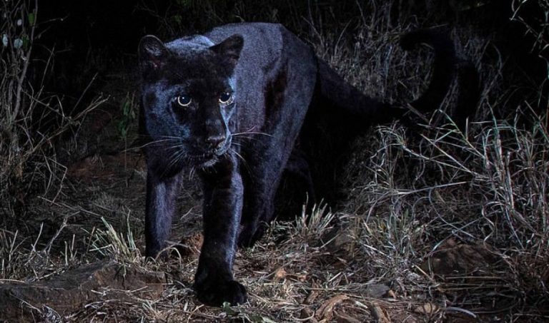 ΠΑΛΙ ΔΙΚΑΙΟΛΟΓΙΕΣ ΨΑΧΝΟΥΜΕ ΓΙΑ ΤΟ ΜΕΛΛΟΝ ΤΩΝ ΠΑΙΔΙΩΝ ΜΑΣ