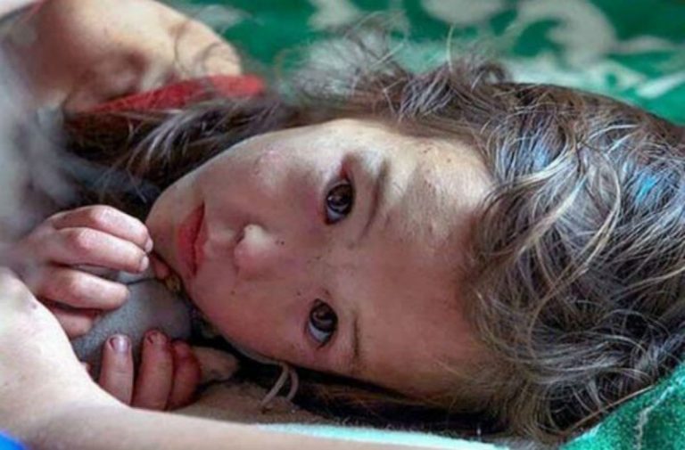 Αυτό το 3χρονο περιπλανιόταν μόνο του σε δάσος της Σιβηρίας επί 11 μέρες – Όταν δείτε όμως ποιος ήταν δίπλα της θα σοκαριστείτε