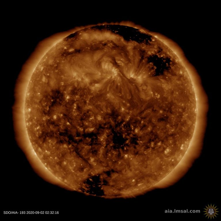 "ΟΞΕΊΑ ΤΡΙΧΌΠΤΩΣΗ"…ΠΡΟΣΠΑΘΕΊ ΝΑ ΒΓΆΛΕΙ ΤΡΊΧΕΣ ΚΑΙ ΤΡΊΧΕΣ ΔΕΝ ΒΓΑΊΝΟΥΝ