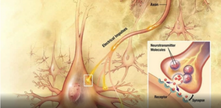 Πώς να υπερφορτώσετε τα επίπεδα ντοπαμίνης και να μην ξανανιώσετε καταθλιπτικοί ή αγχωμένοι