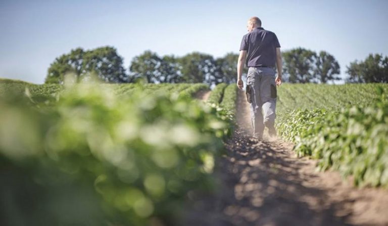 Επιδοτούν την αγροτική εργασία μόνο για εργάτες από τρίτες χώρες