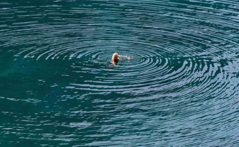 Σού είπα θά γίνεις καί σέ βλέπω αποσβωλημένο νά είσαι πιά από καιρό αυτό που δέν πρέπει νά είσαι