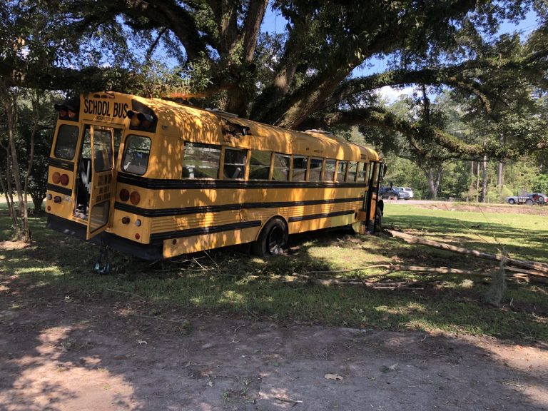 11-year-old driving stolen school bus in custody