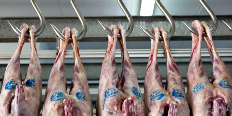 ΚΥΠΡΟΣ – ΣΦΑΓΕΙΟ: ‘Η ευθύνη βαραίνει τον ιδιοκτήτη’ – ‘Υπάλληλος με συμπτώματα από την 1/11, το σφαγείο έκλεισε στις 6/11’