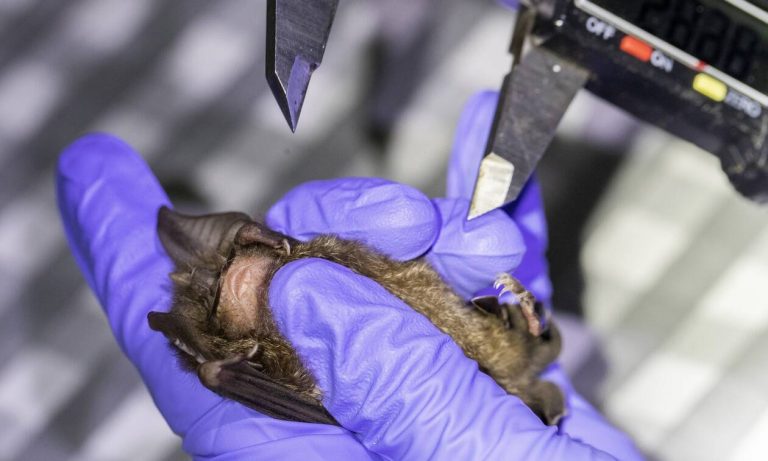 Κορονοϊός – Εύρημα σοκ σε καταψύκτες εργαστηρίων