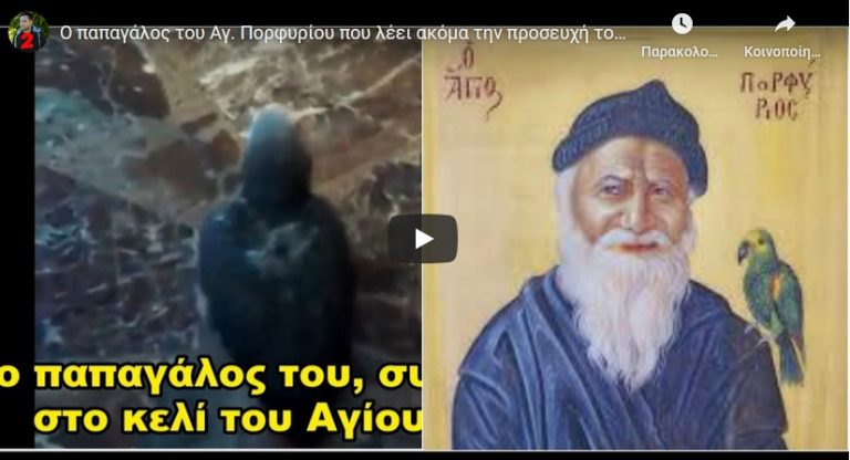 Ο παπαγάλος του Αγ. Πορφυρίου που λέει ακόμα την προσευχή του με ίδια φωνή!