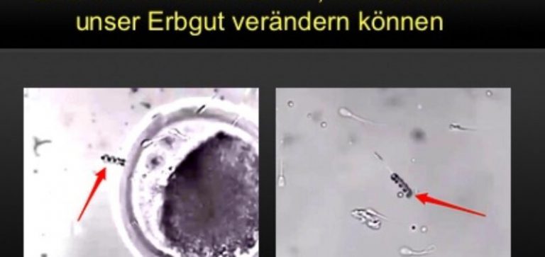 «ΤΙ ΕΚΡΥΨΑΝ ΓΙΑ ΤΟ ΕΜΒΟΛΙΟ ΤΟΥ ΚΟΡΩΝΑΙΟΥ ΠΕΡΙΕΧΕΙ ΕΞΑΙΡΕΤΙΚΑ ΕΠΙΚΙΝΔΥΝΑ ΝΑΝΟ ΡΟΜΠΟΤ»