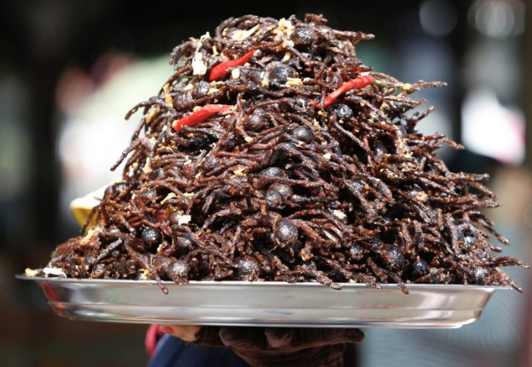 Πράσινο φως για την κατανάλωση εντόμων στην Ευρώπη: «Πλούσια σε πρωτεινες και ίνες»