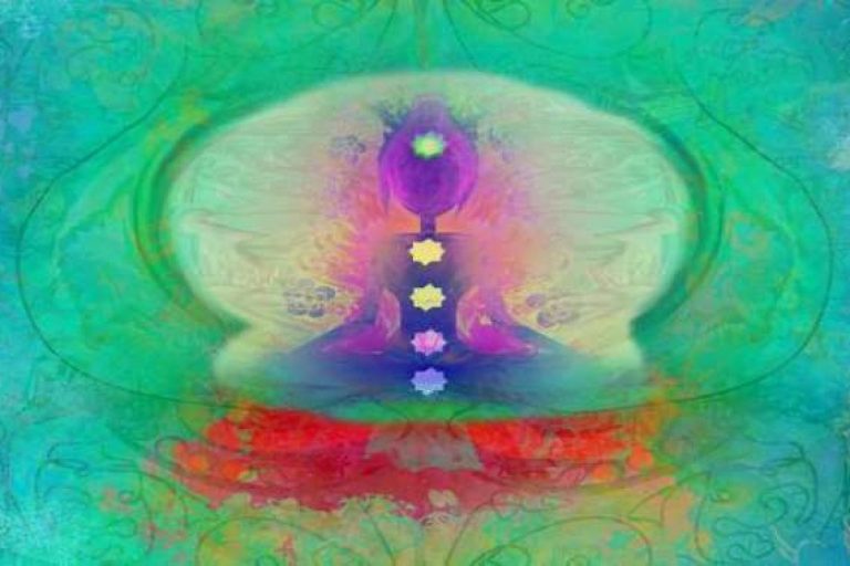 ΠΩΣ  ΟΙ ΕΝΕΡΓΕΙΕΣ ΠΟΥ ΑΛΛΗΛΕΠΙΔΡΟΥΝ ΣΤΟ ΣΩΜΑ ΔΗΜΙΟΥΡΓΟΥΝ ΤΟ ΔΕΝΤΡΟ ΤΗΣ ΖΩΗΣ