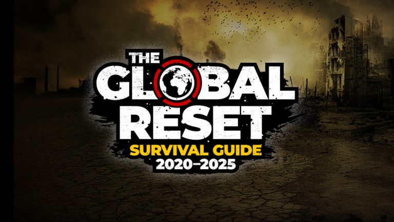 The Global Reset Survival Guide for 2020-2025