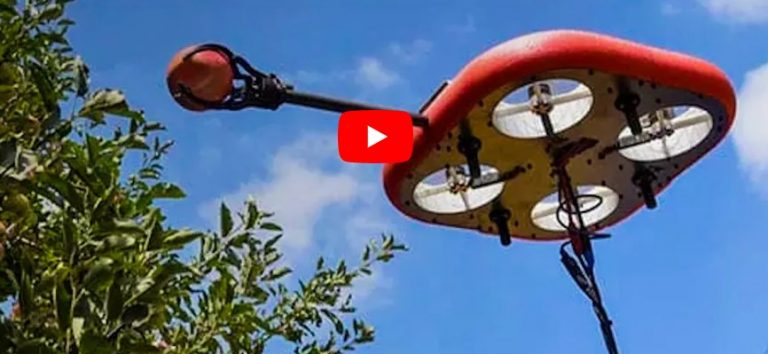 Κορωνοϊός και κακή νοοτροπία προκαλούν παρέμβαση και εδώ, ΒΙΝΤΕΟ που προκαλεί τρόμο