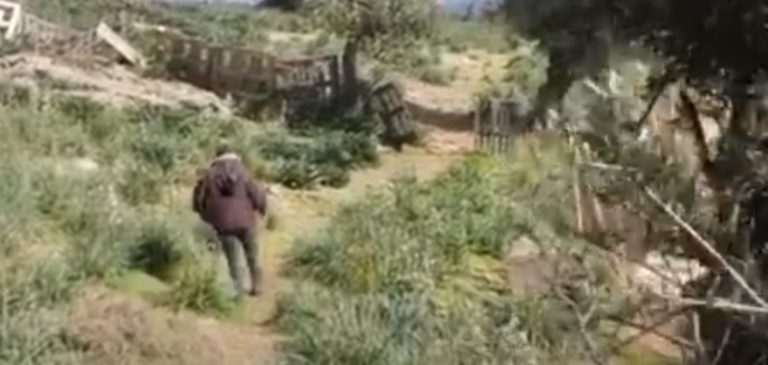 Η Λέσβος εάλω. Ένοπλες ομάδες αλλοδαπών κυκλοφορούν στα βουνά