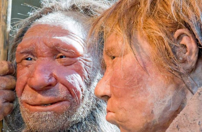 Γονίδιο, κληρονομιά από τους Νεάντερταλ, προστατεύει από τον κορονοϊό;