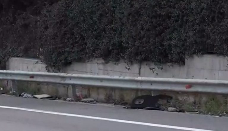 Τραγωδία στο Κερατσίνι: «Να φοράτε πάντα ζώνη» λέει η 20χρονη επιζήσασα του τραγικού τροχαίου