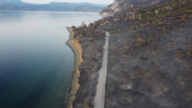 Τι έκαψε η φωτιά στο Σχίνο;;