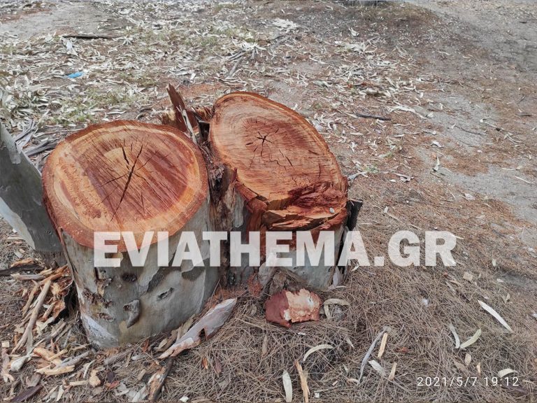Εύβοια: Οι αυθαιρεσίες τοπικού προέδρου που ξεσήκωσαν έναν ολόκληρο Δήμο…
