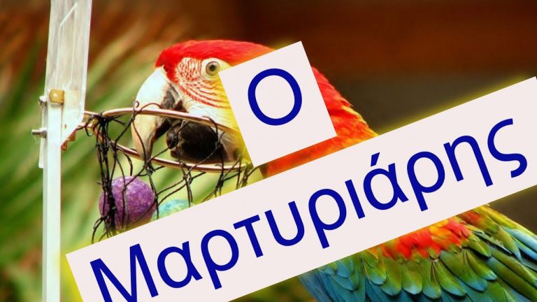 Κάποιος τα ξέρει, και είναι μαρτυριάρης.