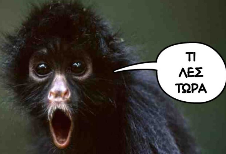 Παυλάκης: Δεν έχουμε τελειώσει με τον κοροναϊό – Θα υπάρξει και τέταρτο κύμα πανδημίας