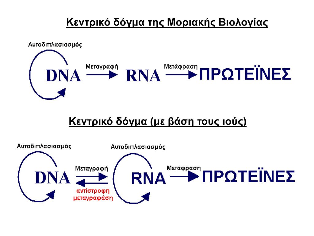 Τελικά το RNA των εμβολίων τροποποιεί το DNA;; Νέα ...