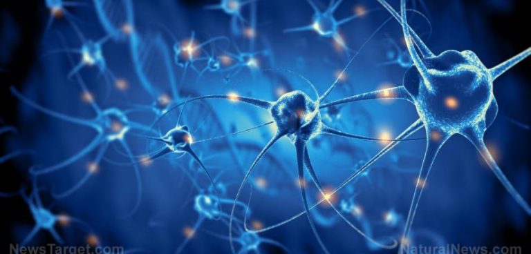 Τα covid εμβόλια περιέχουν “Magneto” πρωτεΐνη ικανή να ελέγχει εξ αποστάσεως τη συμπεριφορά και τη δραστηριότητα του εγκεφάλου;