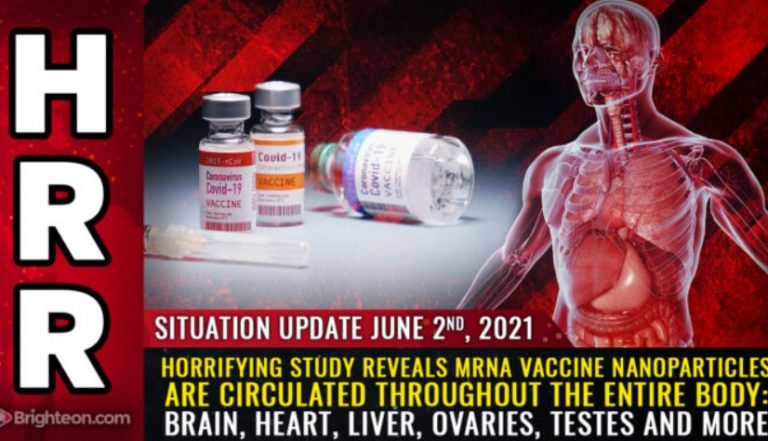 Αποκαλυπτική ιαπωνική μελέτη: εμβολιακά νανοσωματίδια στο mRNA κυκλοφορούν σ΄όλο το σώμα: εγκέφαλο, σπλήνα, παχύ έντερο, καρδιά, ήπαρ, πνεύμονες κ.α Η πρωτεΐνη Spike υπεύθυνη για θρομβώσεις και καρδιακά επεισόδια!