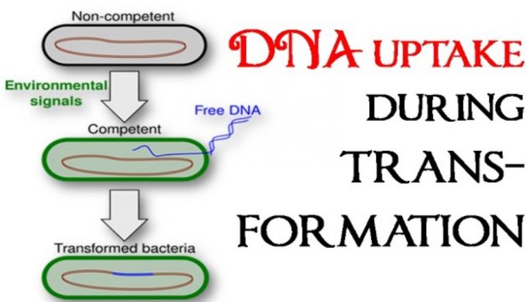 Μπορεί η μετάλλαξη νά σέ κάνει καλύτερον DNA;… Τές απόψεις σάς παρακαλώ! Τό θέμα είναι σοβαρό καί καλούμαστε όλοι νά τό αντιμετωπίσουμε… Αυτός δέν είναι ό σκοπός τών Κατοχικών Νέων;… Μέρος 1